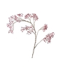 Corallo Berry Spray Burgundy LV330083BUR