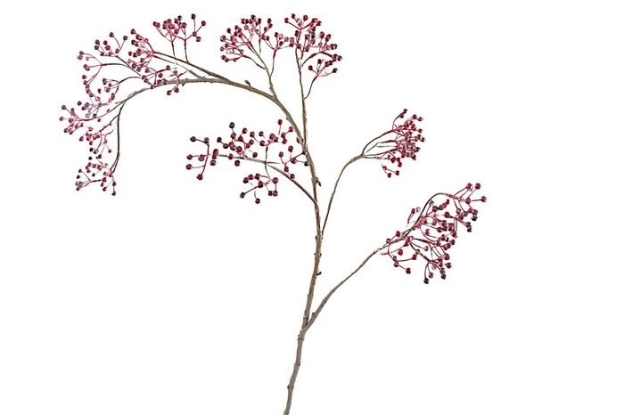 Corallo Berry Spray Burgundy LV330082BUR