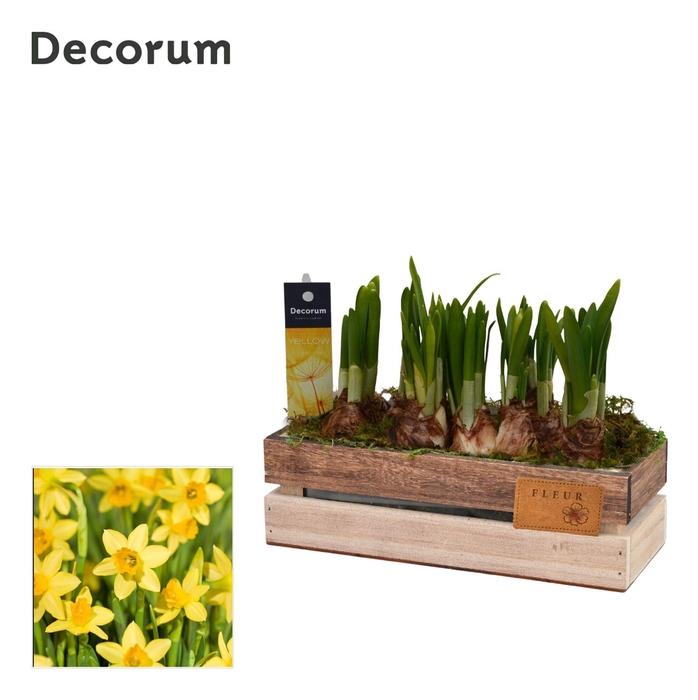 <h4>Narcis Wooden Box HL11623N</h4>