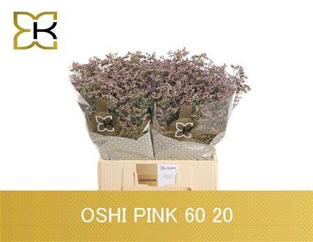 <h4>LIM SAF OSHI PINK 60/20GR</h4>