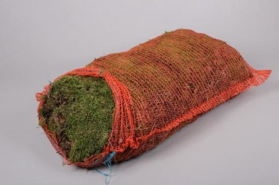 <h4>PLATMOS NETZAK(x3)</h4>