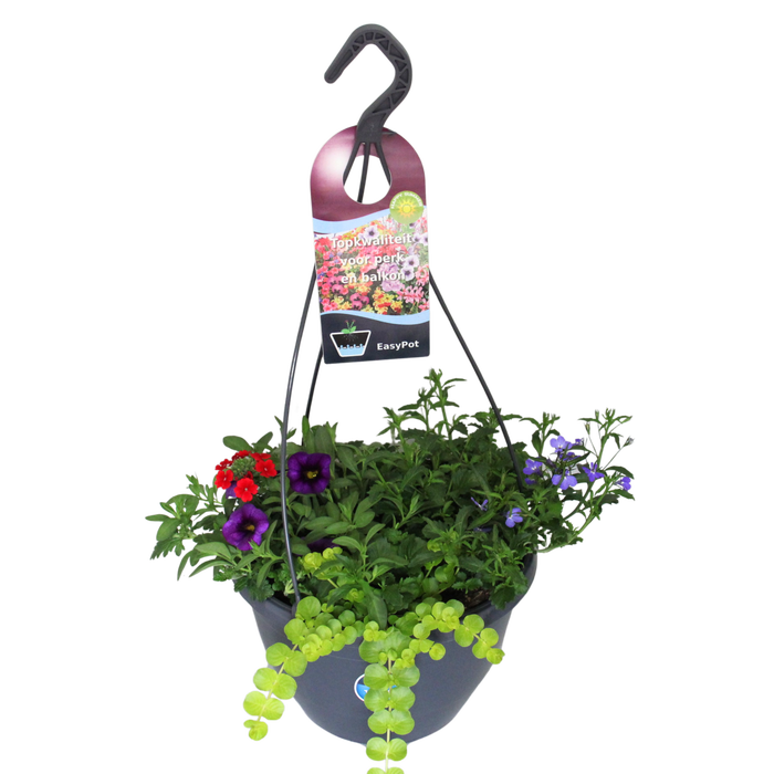 <h4>Hangpotten 27 waterreservoir Mix 08 Bonte mix</h4>