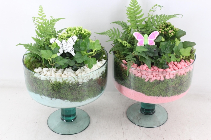 <h4>arr2 PL - Glas Sofia x4 - roze/wit</h4>