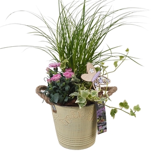 PTPP6810 Arrangement Patio in metalen bak