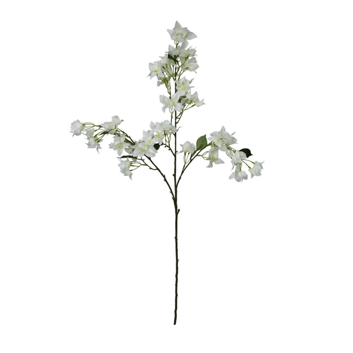 <h4>Bougainville tak 104cm</h4>
