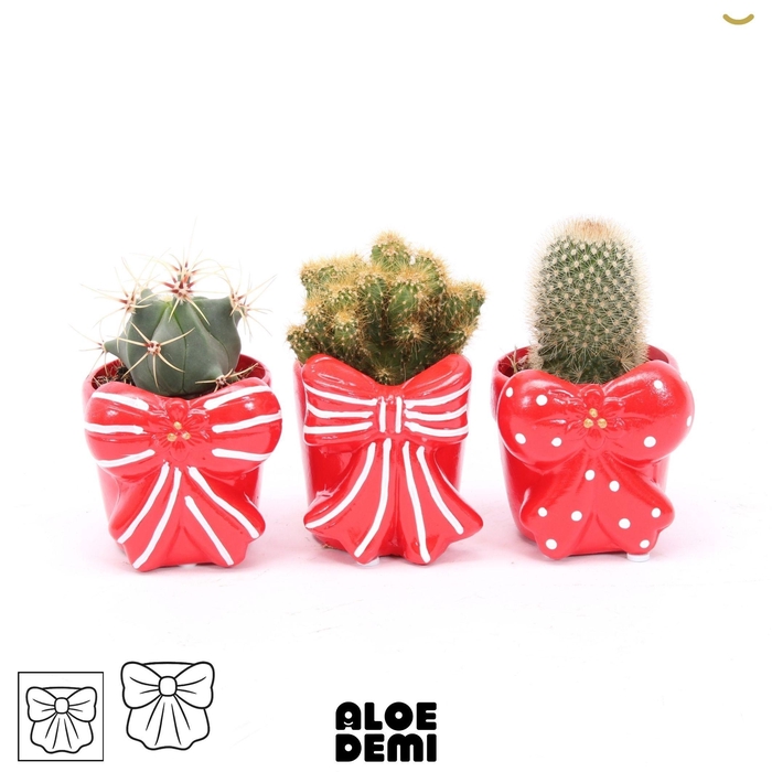 <h4>CACTUS GEM</h4>