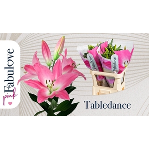 Lelie OrxTr Tabledance