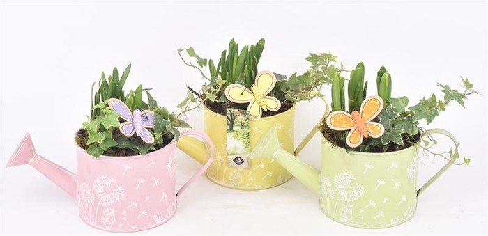 <h4>Zink gieter decor mix 13cm</h4>