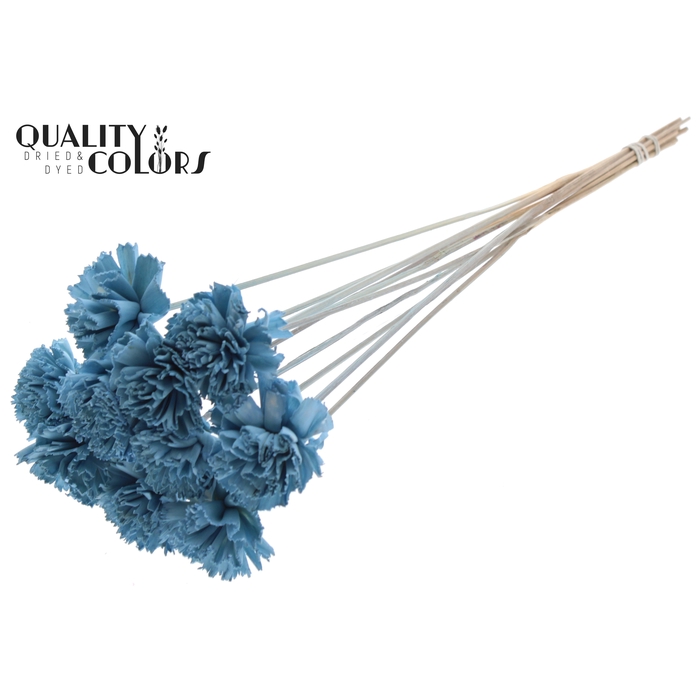<h4>Shola Karnish Flower 6cm on stem Light Blue</h4>