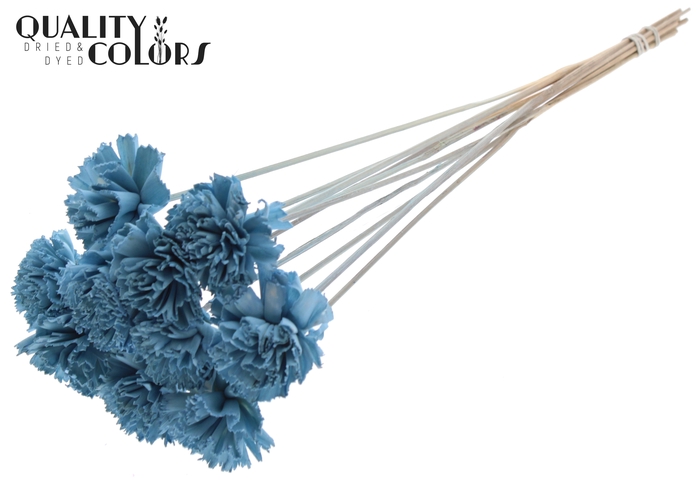 Shola Karnish Flower 6cm on stem Light Blue