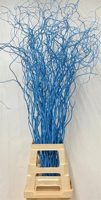 <h4>SALIX OV KLB H%</h4>