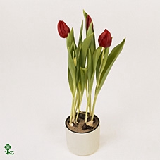 11515: Soft sculpture arrangement