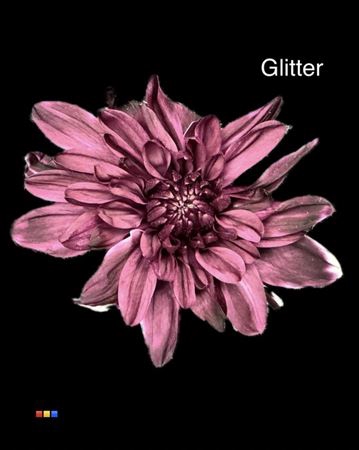 Chr T 2 Kl Baltica Cassis + Glit Bio