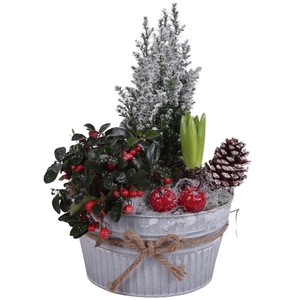Winter Arr. Outdoor Zinc Pot with Rope Round Ø22cm 3PP