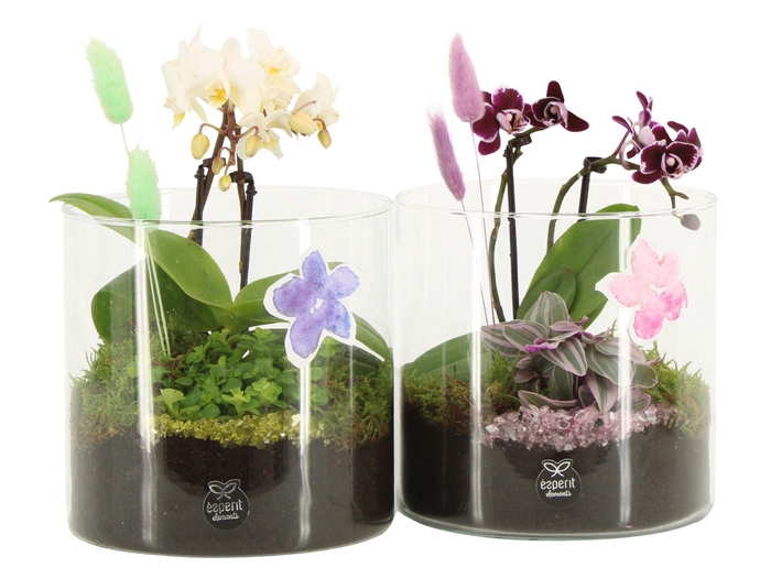 <h4>11620: Consideration arrangement</h4>