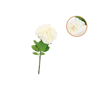 Silk Wild Rose White Single 65cm
