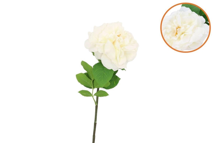 <h4>Silk Wild Rose White Single 65cm Nm</h4>