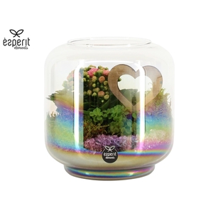 22026: Lovess arrangement