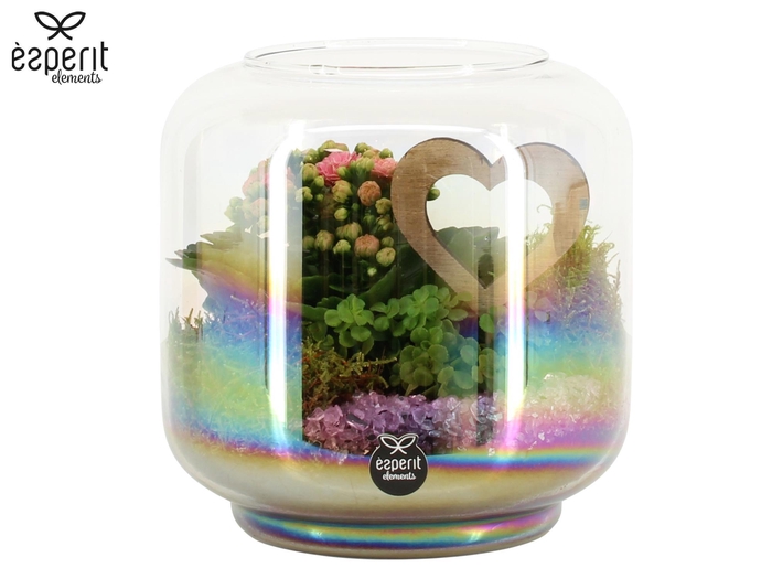 <h4>22026: Lovess arrangement</h4>