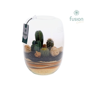 Green Bottle Isabella Large met zand arrangement