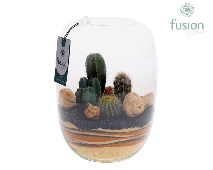 <h4>Green Bottle Isabella Large met zand arrangement</h4>