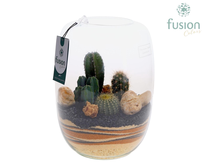 <h4>Green Bottle Isabella Large met zand arrangement</h4>