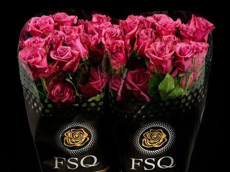 <h4>R Gr Blue Berry</h4>