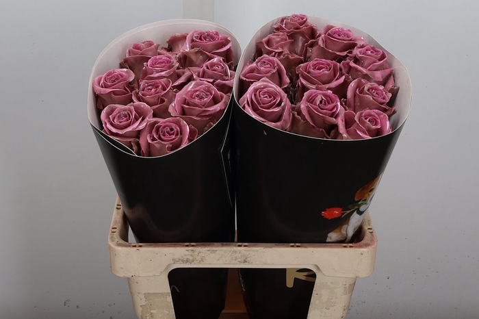 Wax-Rozen Wax Classic Pink