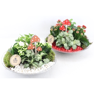 arr2 PL - Glas schaal 27cm - rood/wit