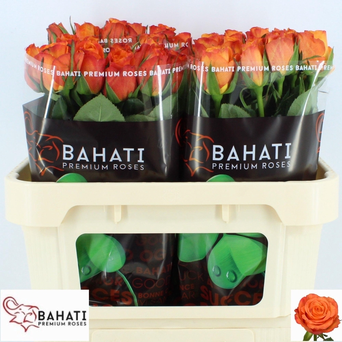 <h4>R GR CONFIDENTIAL</h4>