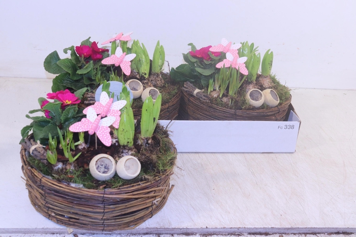 <h4>ARR TUINPLANTEN</h4>