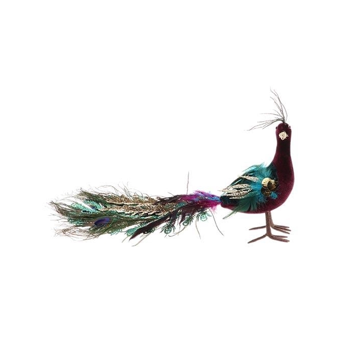<h4>Peacock Regalia L40W8H20</h4>
