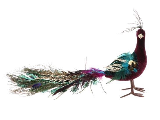 Peacock Regalia L40W8H20