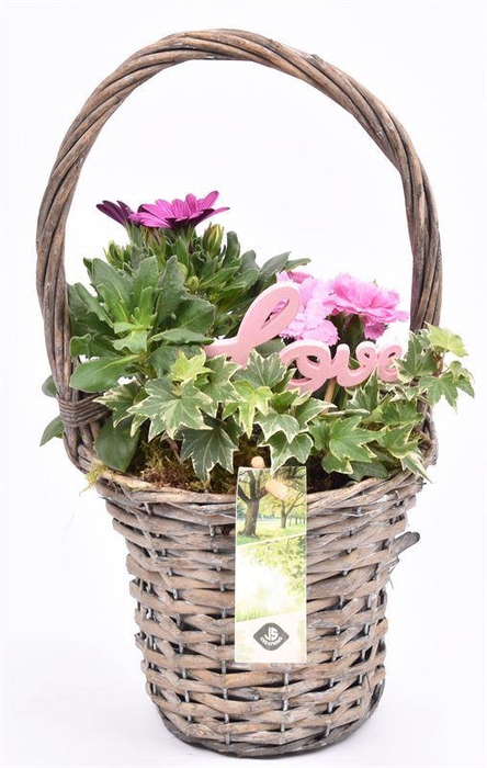 <h4>Wilg hengselmand gy 17cm</h4>