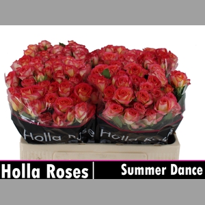 R TR SUMMER DANCE