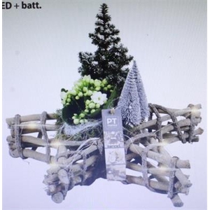 4340 STER LED+ BOOMPJE