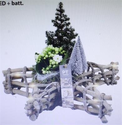 <h4>4340 STER LED+ BOOMPJE</h4>