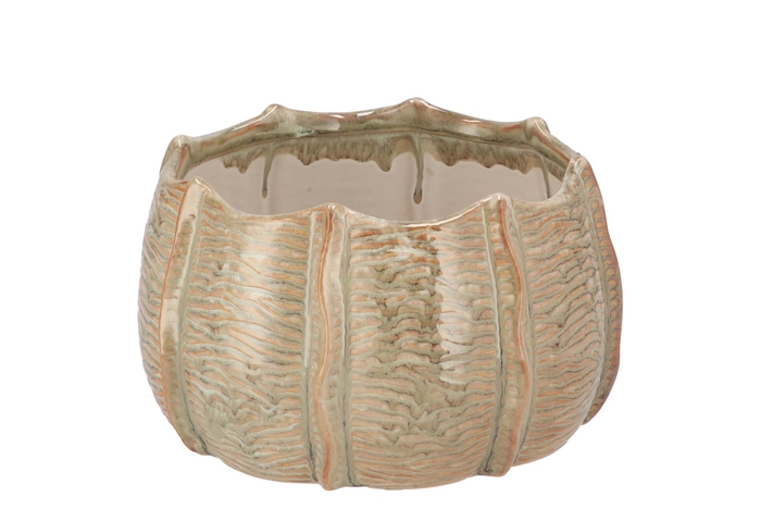 Sifan Green Pot Structure 17x17x10cm