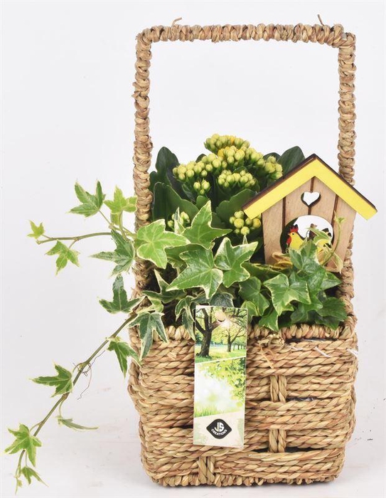 <h4>Touw mand vierkant 12,5x12,5cm</h4>