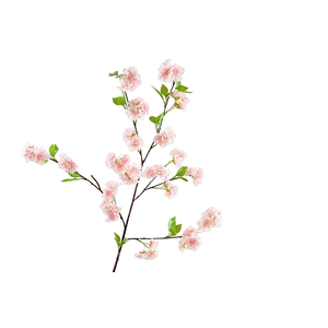 Blossom Pink