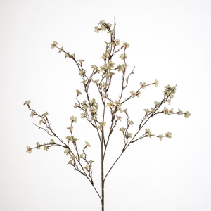 AF Blossom m spray/5 L90cm cr