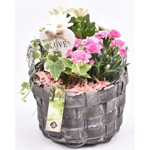 Hout gevlochten ww 19cm