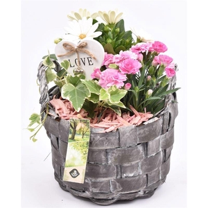 Hout gevlochten ww 19cm