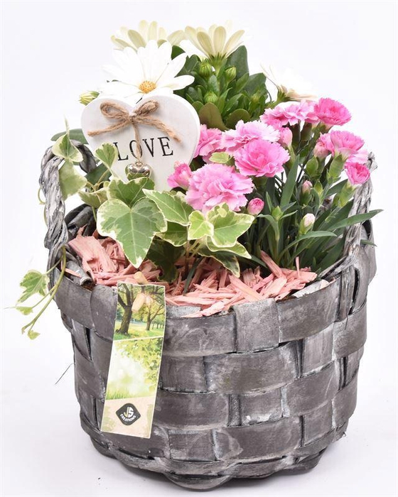 <h4>Hout gevlochten ww 19cm</h4>