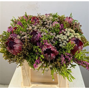 Protea Boeket