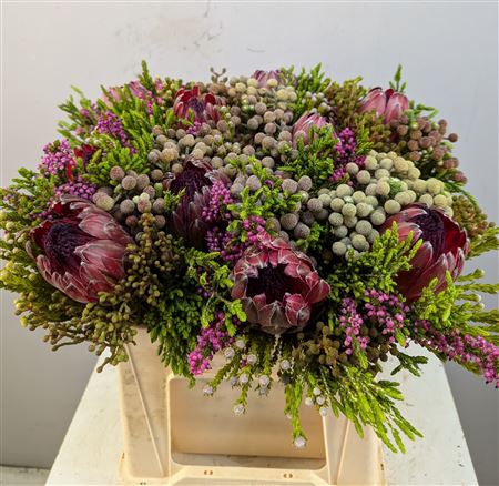 <h4>Protea Boeket</h4>
