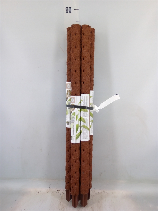 <h4>Decoratie  ..Klimstok composteer H%</h4>