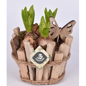 Sprokkel hout dia 17.5