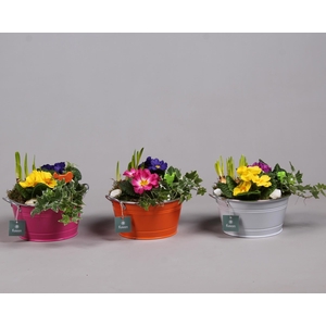 Schaal zink rond Voorjaar met Arrangement verschillende kleuren