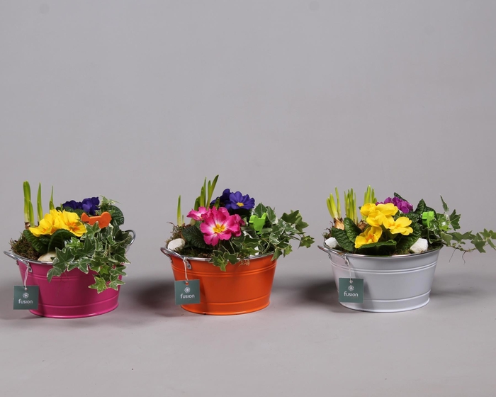 <h4>Schaal zink rond Voorjaar met Arrangement verschillende kleuren</h4>